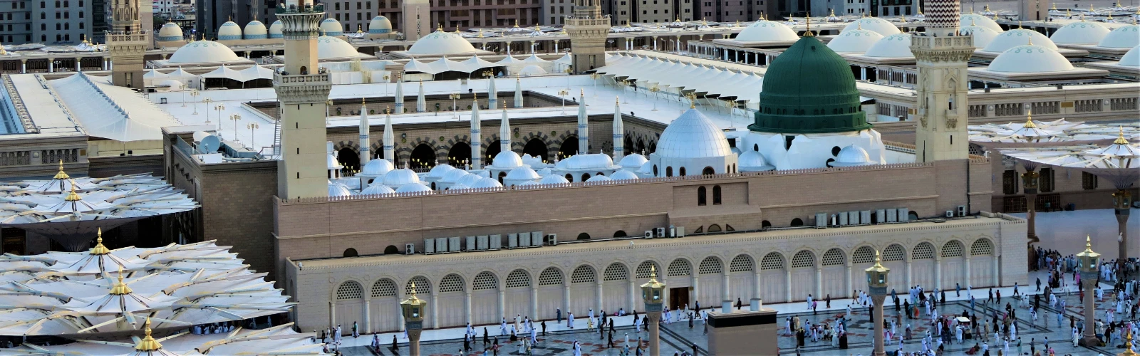 Where to Shop for Al Madinah Al Munawwarah Dates?
